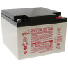 BATTERIE PLOMB ÉTANCHE NP24-12 ENERSYS  12V 24AH