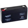 Batterie plomb étanche EnerSys Genesis NP1.2-6 6Volts 1.2 Ah